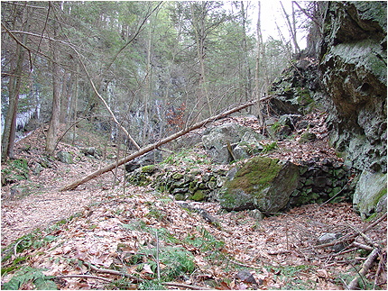 Enlarge Photo