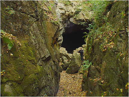 Enlarge Photo