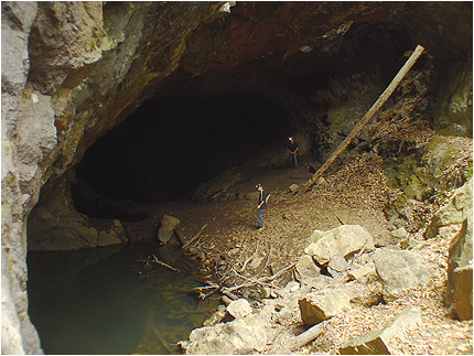 Enlarge Photo