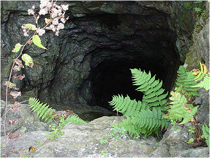 Enlarge Photo