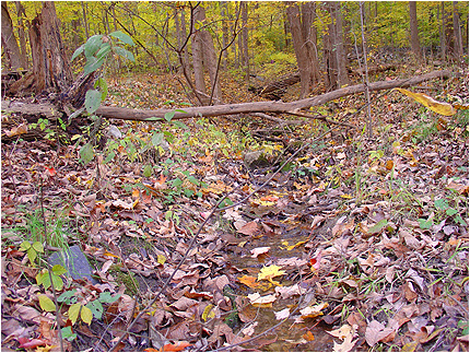 Enlarge Photo