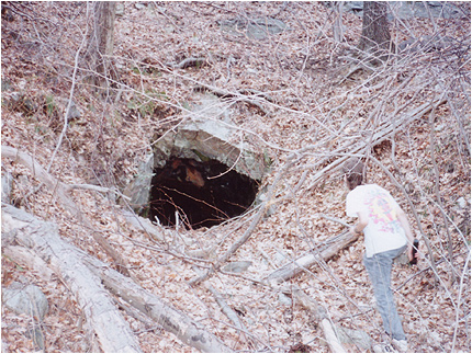 Enlarge Photo