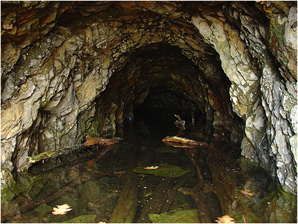 Enlarge Photo