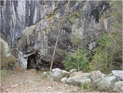 Enlarge Photo