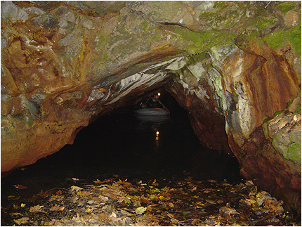 Enlarge Photo