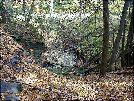 Enlarge Photo