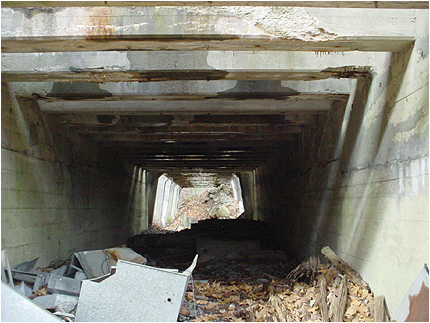 Enlarge Photo
