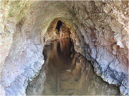 Enlarge Photo