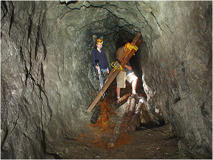 Enlarge Photo