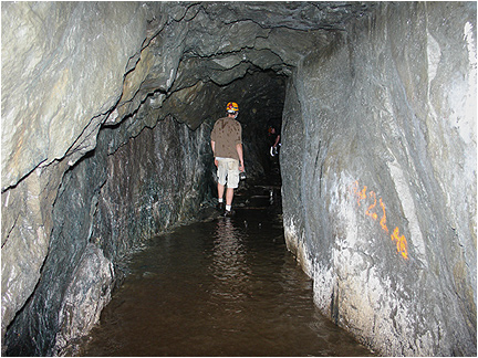 Enlarge Photo
