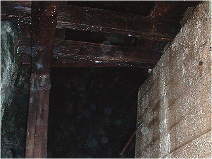 Enlarge Photo