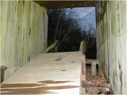 Enlarge Photo