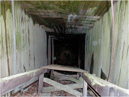Enlarge Photo