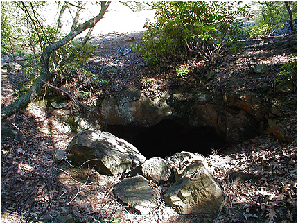 Enlarge Photo