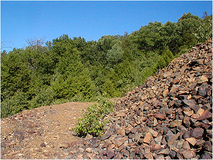 Enlarge Photo
