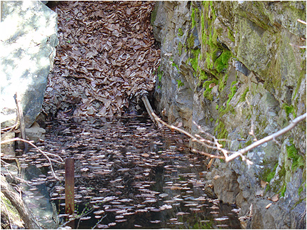Enlarge Photo