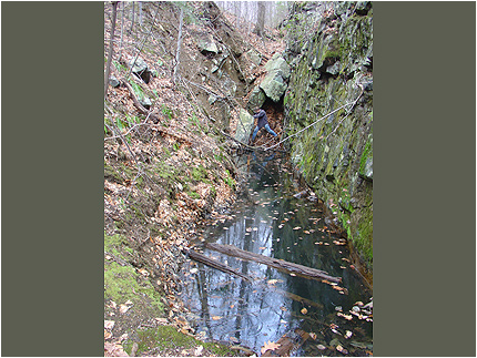 Enlarge Photo