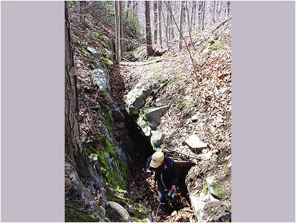 Enlarge Photo
