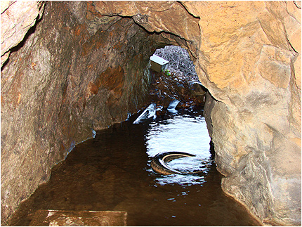 Enlarge Photo