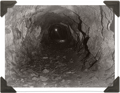 Dolan Mine