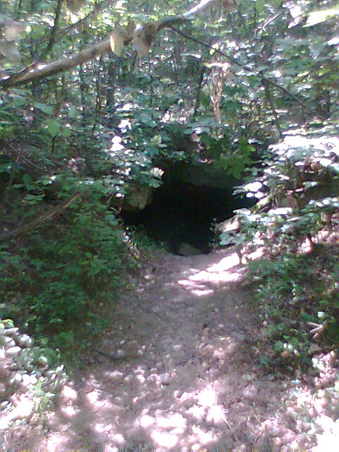 Hinds Rd coal mine 6-21-09. 1.jpg