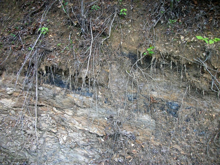 Hinds Rd cave (3).jpg