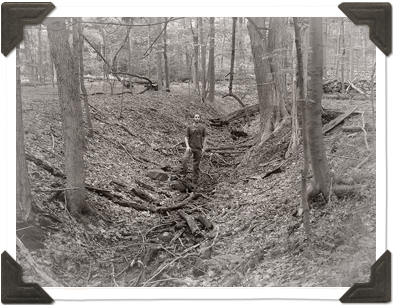 Bull Mine