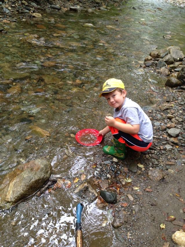 Fenton Panning.jpg